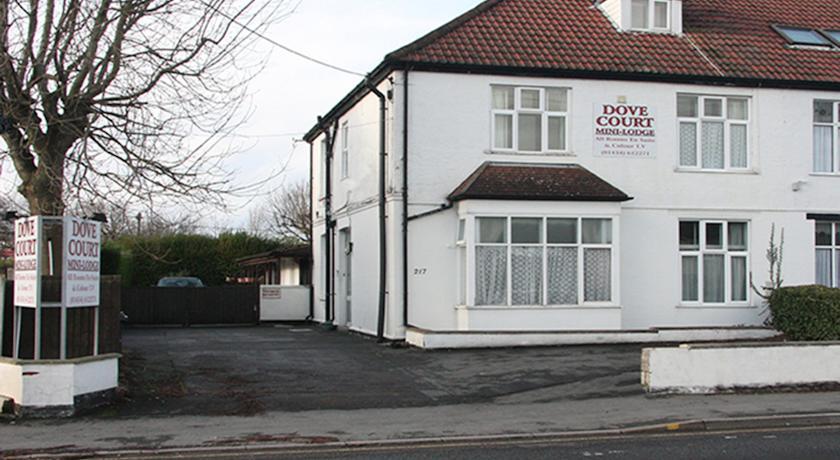 Dove Court Mini Lodge