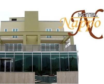 Отель Hotel Nappo