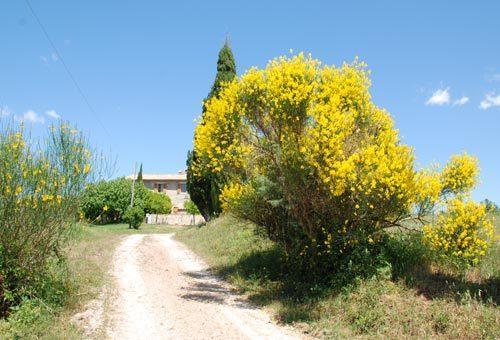 Отель Agriturismo Montecchio