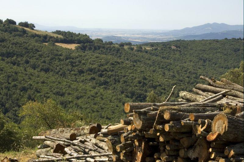 Отель Agriturismo I Nocini