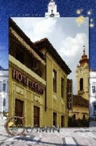 Отель Hotel Cosmin