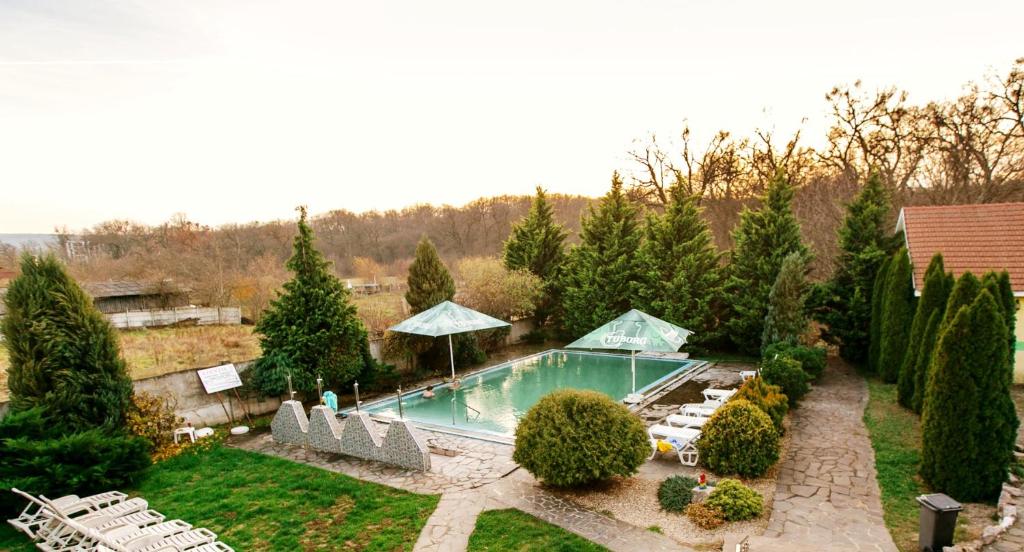 Отель Hotel Nicoleta