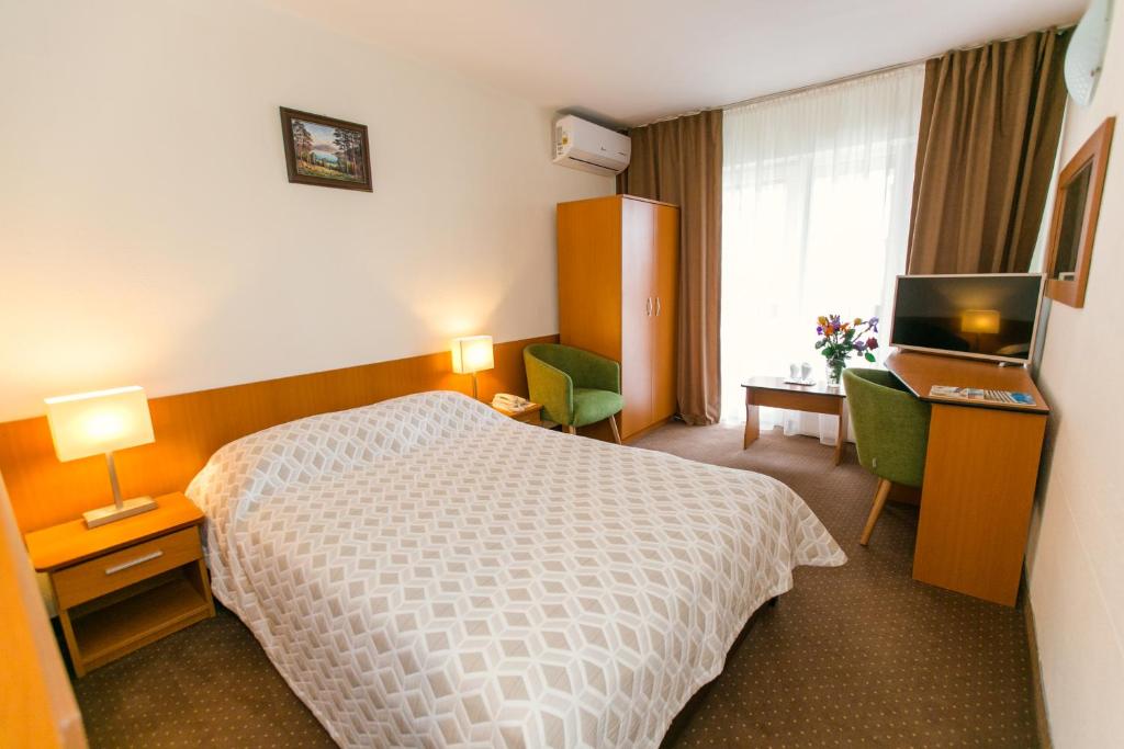 Отель Hotel Poienita