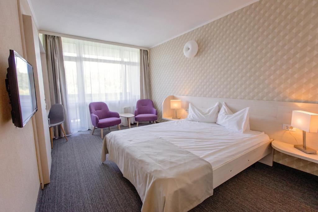 Отель Hotel Termal
