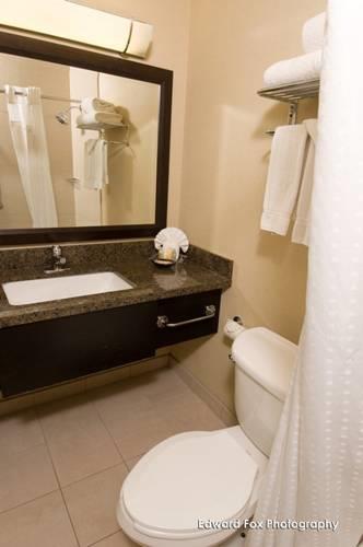 Отель Holiday Inn Chicago - Elk Grove