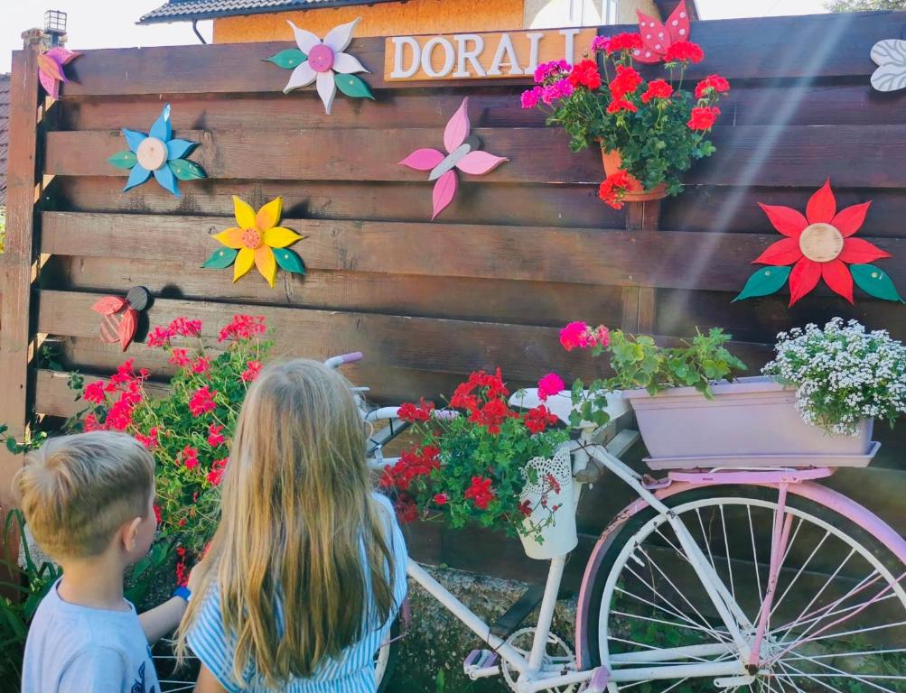 Гостевой дом Pensiunea Dorali