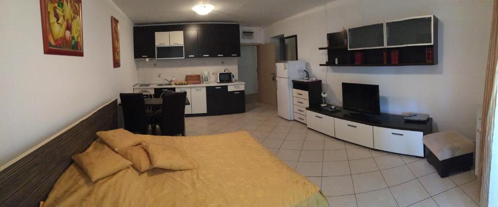 Апартаменты Club Onix Apartments