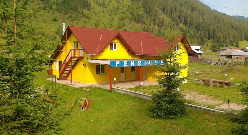 Хостел Pensiunea Piciul