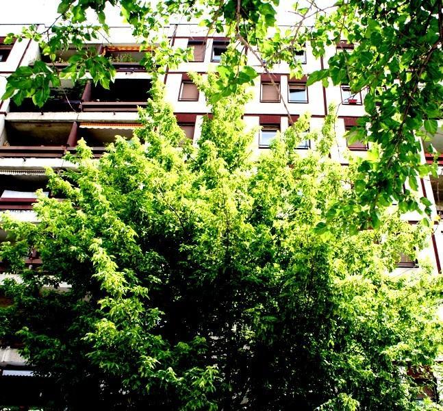 Apartment Andrea