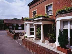 Отель The Waterloo Hotel