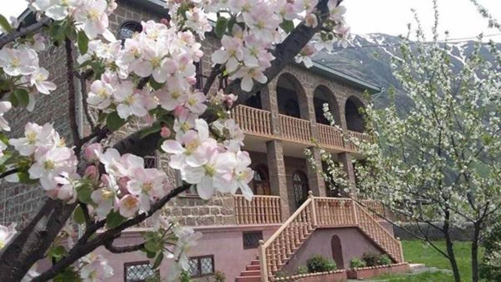 Гостевой дом Gogi Alibegashvili Guesthouse