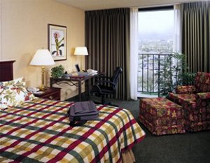 Отель The Hotel B