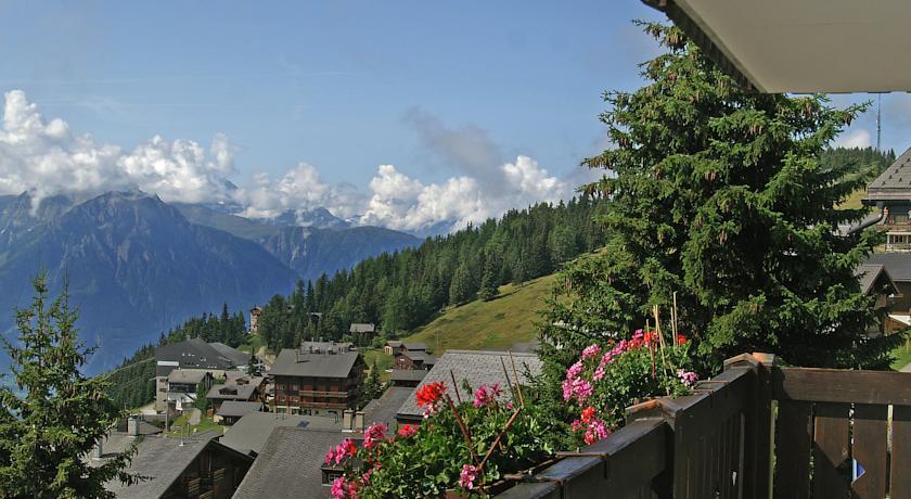 Апартаменты Chalet Adler 3