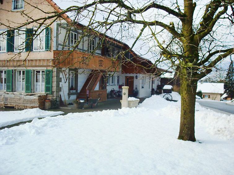 Апартаменты Apartment Wangenried 2