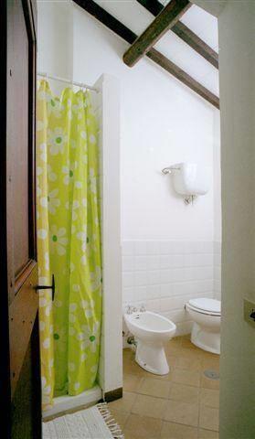 Апартаменты Apartment Frantoio Mantignana
