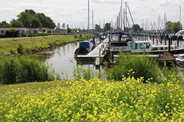 Отель Chalet Recreatie en Watersportcentrum De Biesbosch4