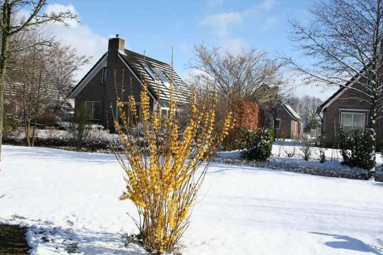 Апартаменты Holiday home SallandshoeveII