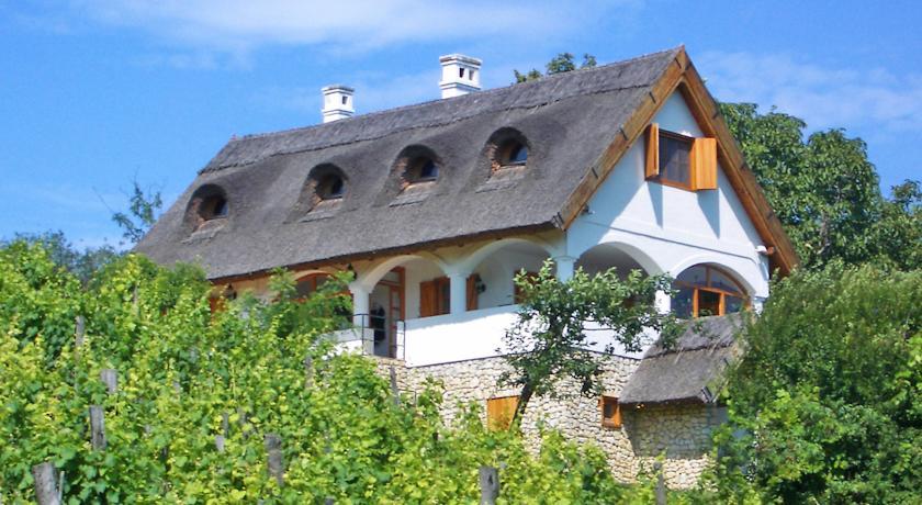 Вилла Villa Lesencetomaj
