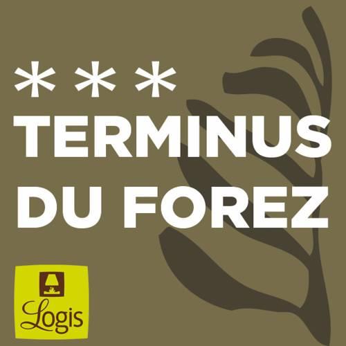 Отель Hôtel Terminus du Forez