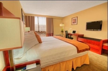 Отель The Palmdale Hotel