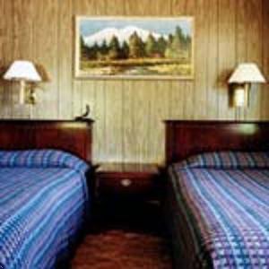 Отель Stardust Motel 