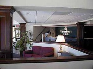 Отель Comfort Inn Magee