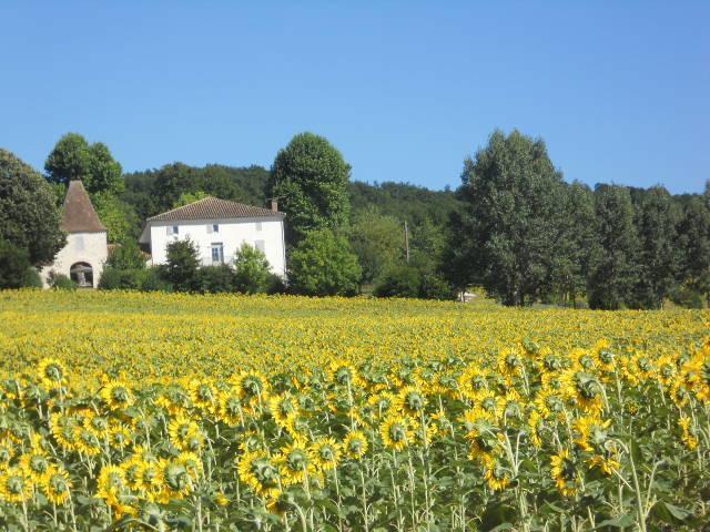 Мини-отель Chambres d'hôtes Caubel