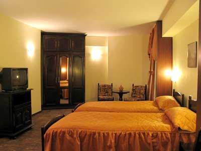 Отель Hotel Muntenia