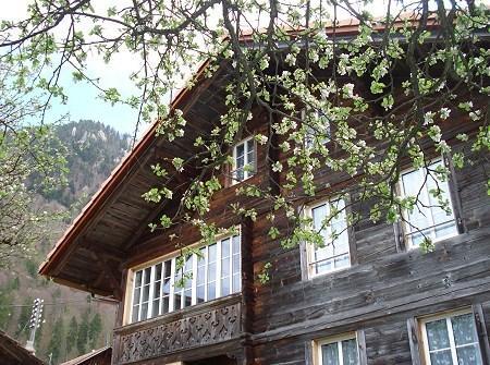 Апартаменты Ferienhaus Moos
