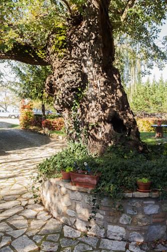 Отель Agriturismo La Roccia