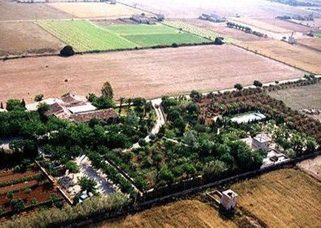 Отель Finca Agroturismo Es Palmer