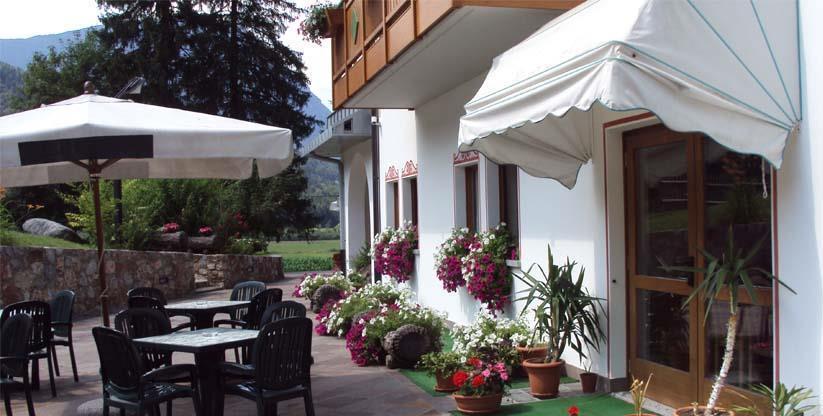 Отель Hotel Pineta