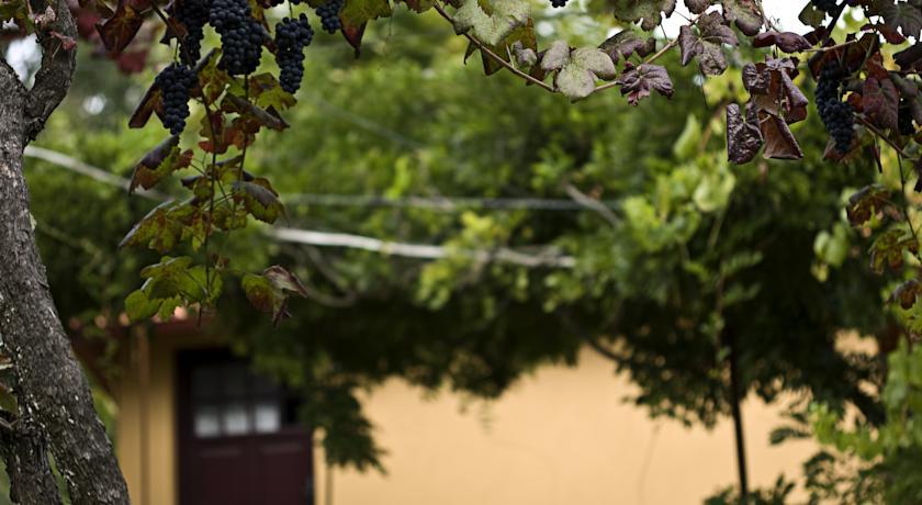 Отель Quinta Da Lagarta