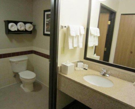 Отель Best Western Plus Newark/Christiana Inn
