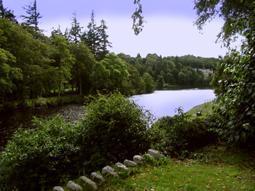 Bannerman Bed and Breakfast
