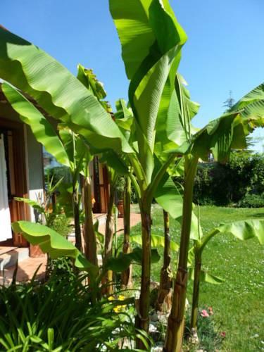 Отель Agriturismo La Quiete