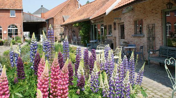 Мини-отель B&B 't Vijfde Seizoen