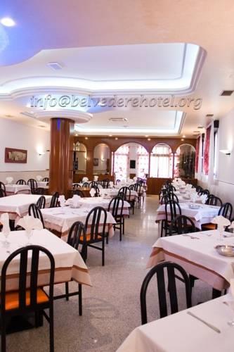 Отель Hotel Belvedere