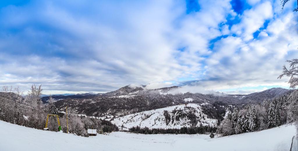 Отель Hotel Piatra Craiului