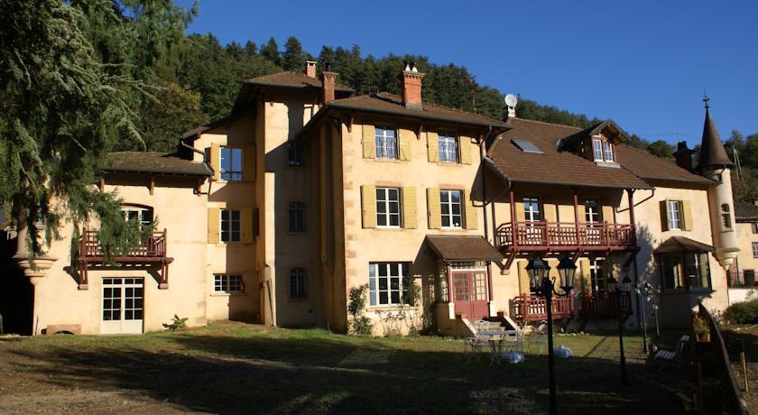 Мини-отель Château de Ronziere