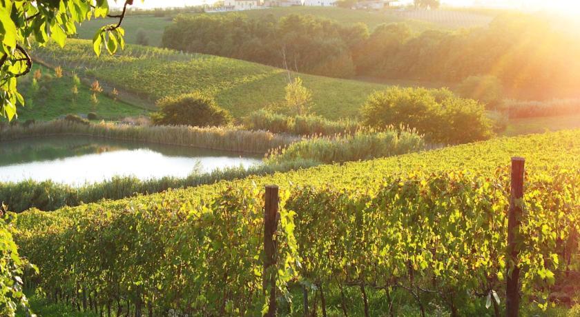 Апартаменты Bio-agriturismo il Fondaccio