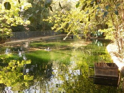 Апартаменты Charmant Appartment Ville Pezenas