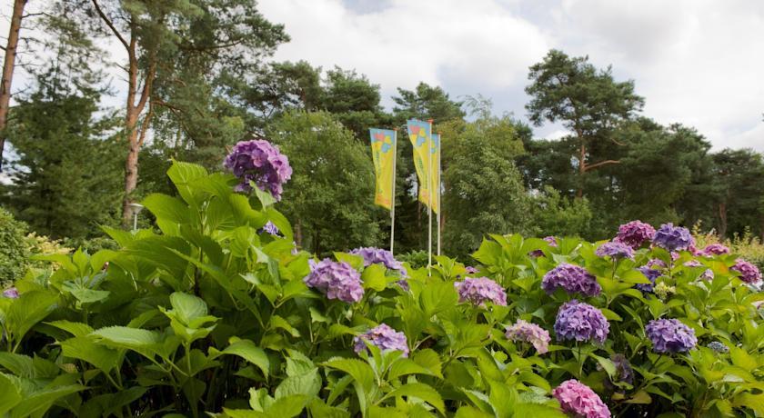 Отель Vakantiepark De Reebok
