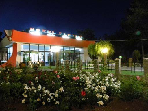 Отель Hotel Florica