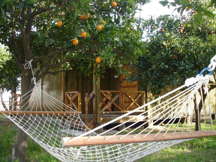 Deniz Pension