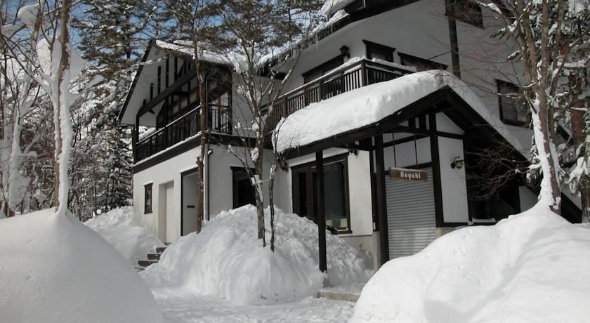 B&B Koyuki