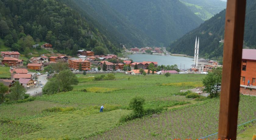 Апартаменты Zeren Pension