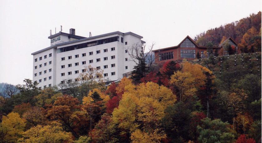 Отель Hotel Taisetsu