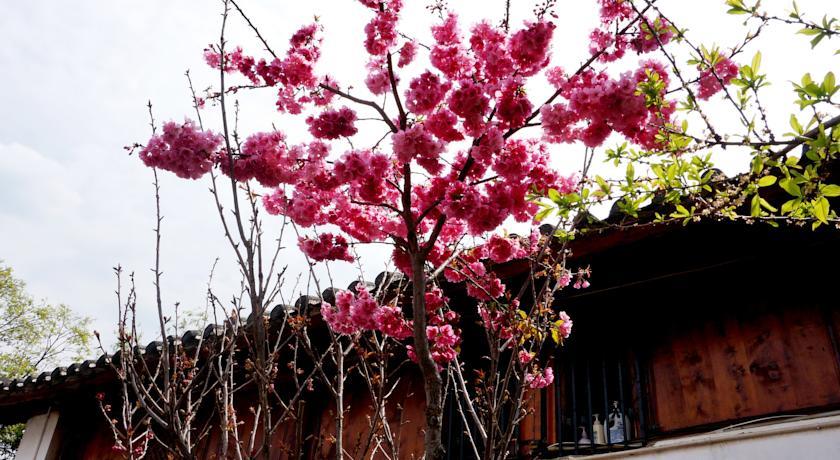 Lijiang Happy Inn