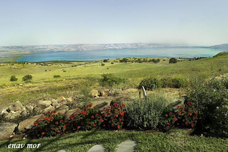 Апартаменты Sea Of Galilee Site